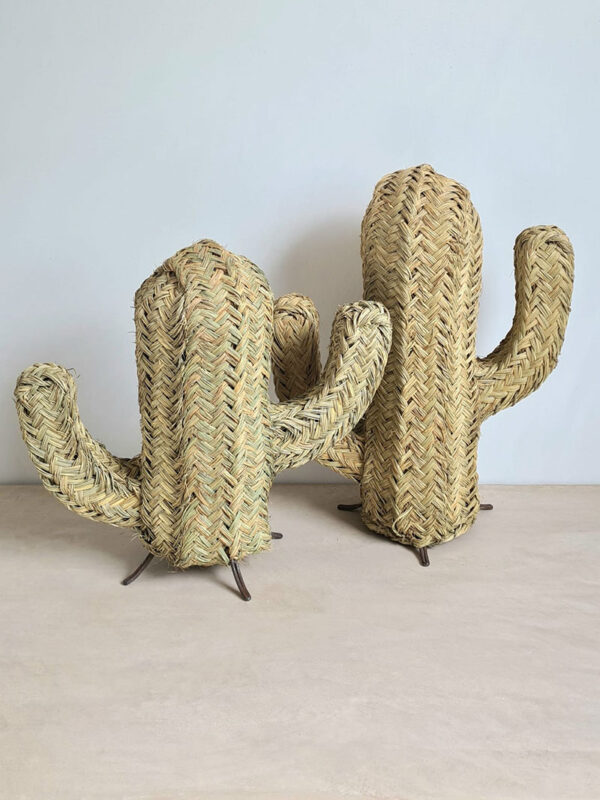 Cactus van zeegras